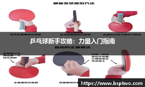乒乓球新手攻略：力量入门指南
