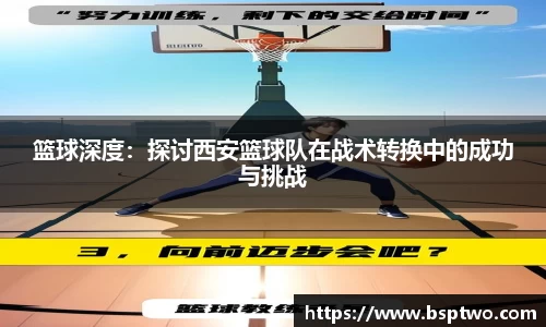 3377体育官网登录