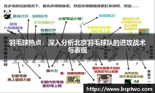 3377体育官网入口