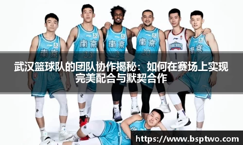 3377体育官网登录