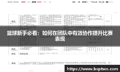 3377体育官网入口