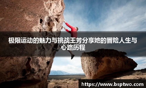 3377体育官网入口