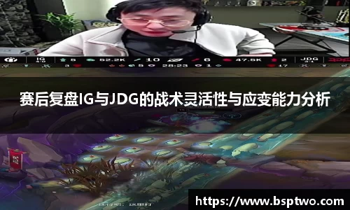3377体育官网入口