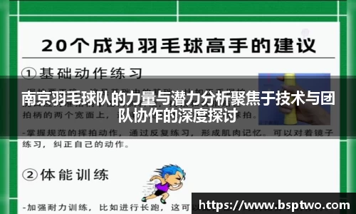 南京羽毛球队的力量与潜力分析聚焦于技术与团队协作的深度探讨