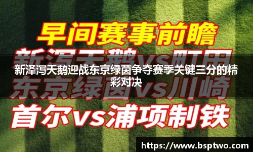 3377体育官网入口